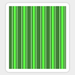 Stripes Forest Green 2019 112020 Sticker